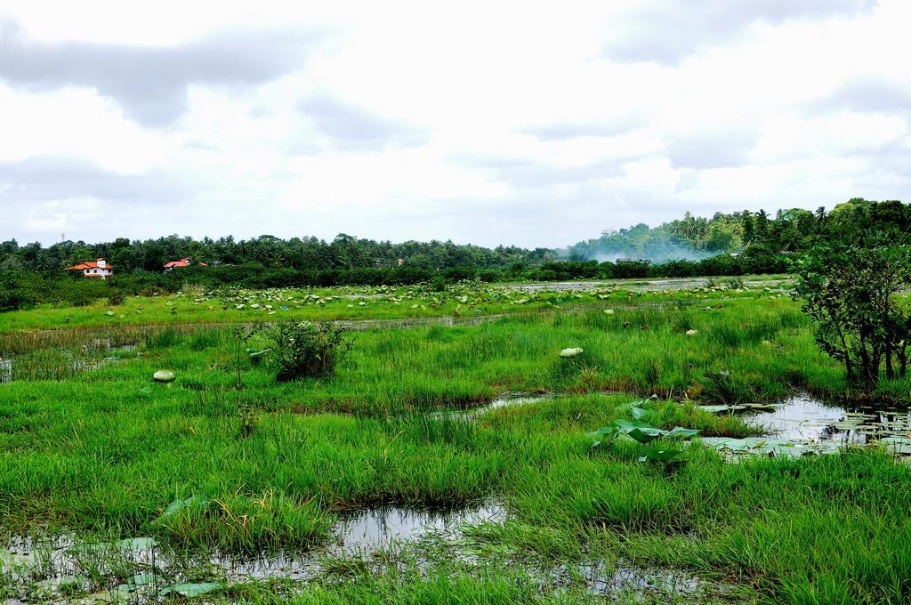 Oak Residencies Villa Kiribathgoda Ngoại thất bức ảnh